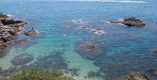 Hostal Portofino 아레니스 데 마르 스페인